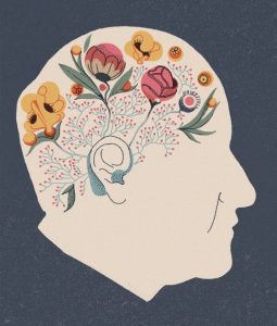 باترس سمعک آلکالاین